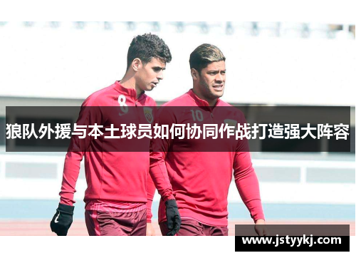 狼队外援与本土球员如何协同作战打造强大阵容